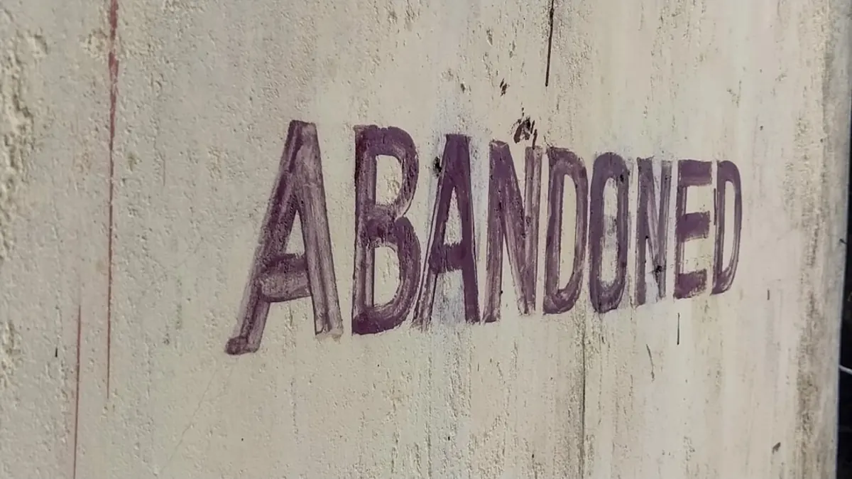 Bandaneiraliveaboard Comparison & Alternatives
